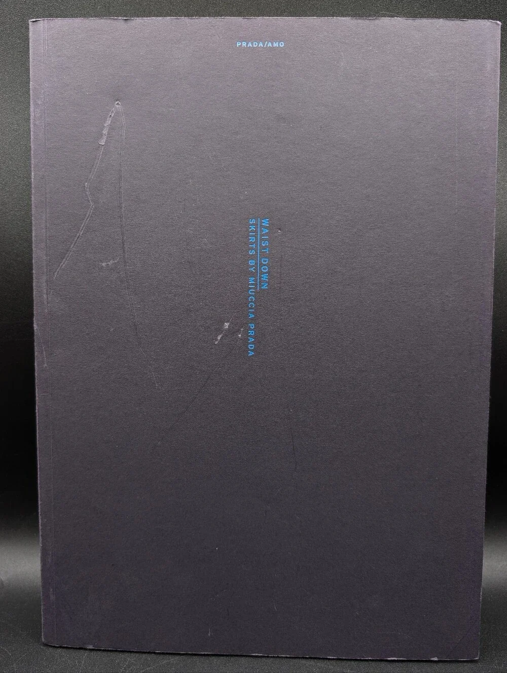 Waist Down; Skirts by Miuccia Prada. 1st Edition, 2004